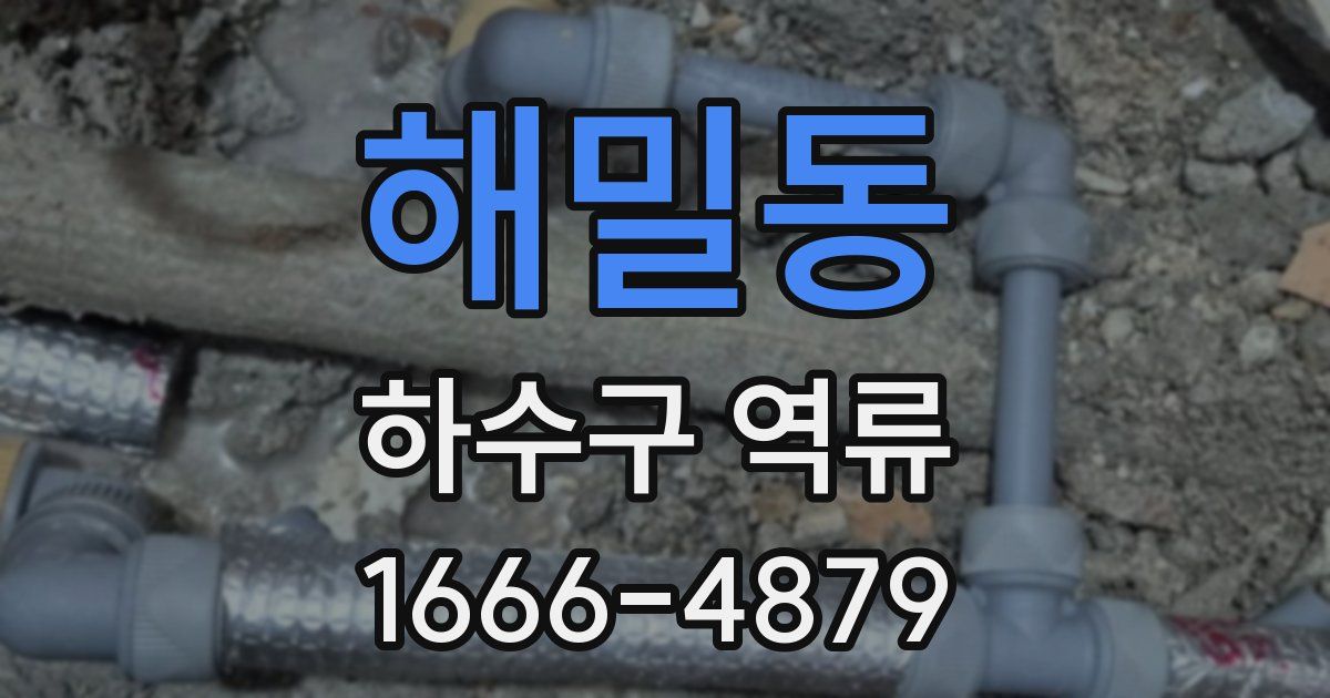 해밀동 하수구 역류