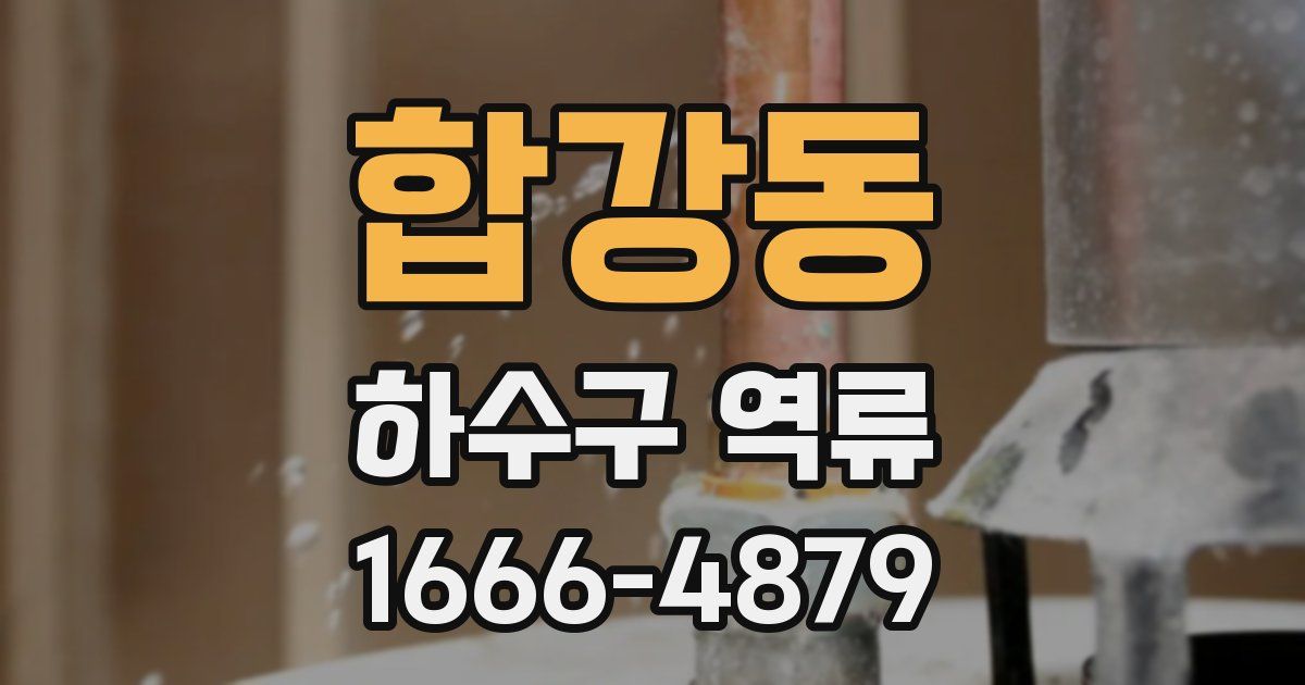 합강동 하수구 역류