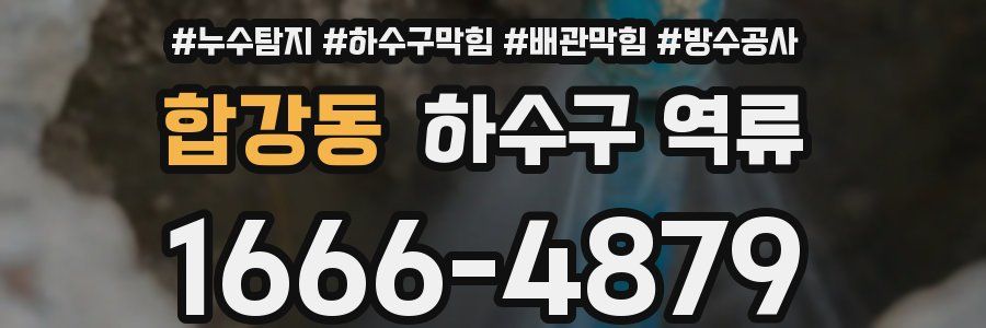 합강동 하수구 역류
