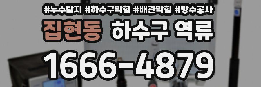 집현동 하수구 역류