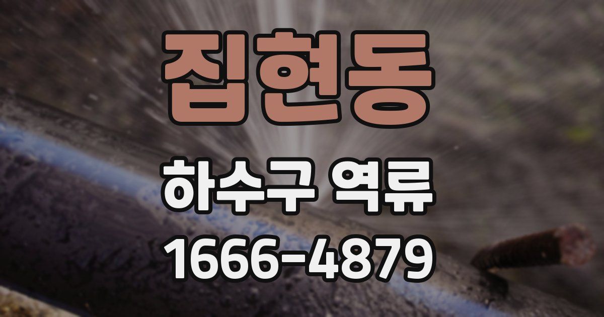 집현동 하수구 역류