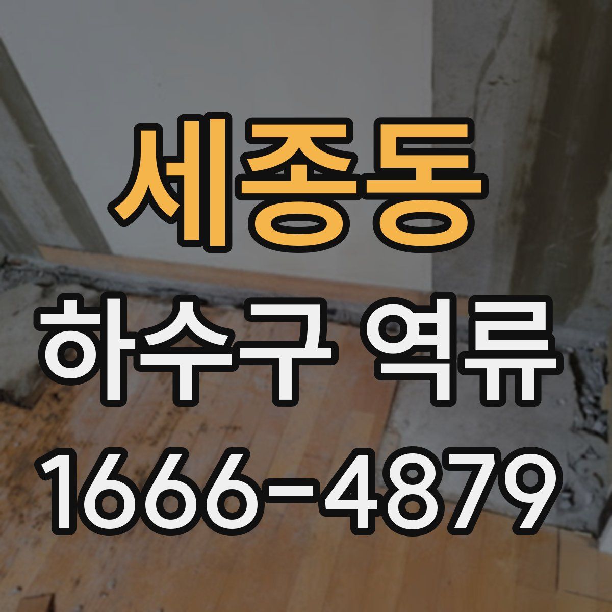 세종동 하수구 역류