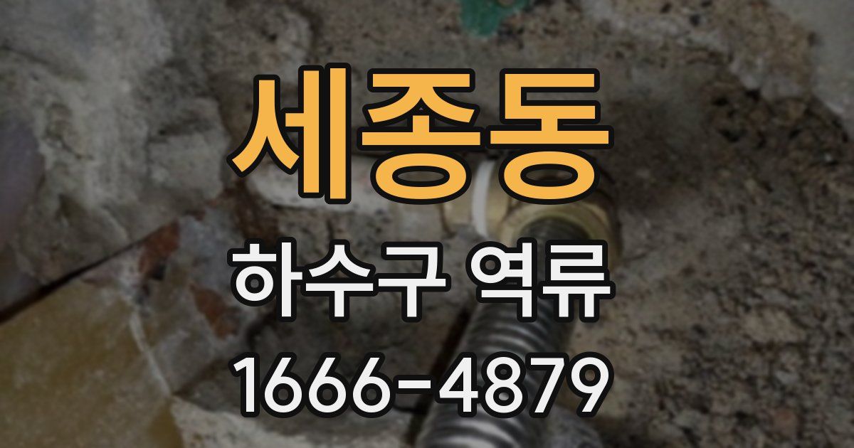 세종동 하수구 역류