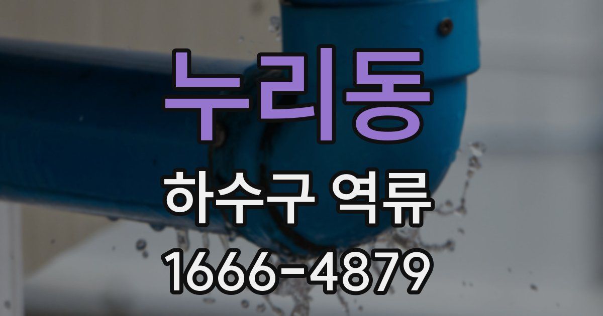 누리동 하수구 역류