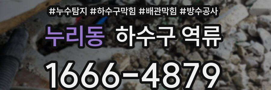 누리동 하수구 역류