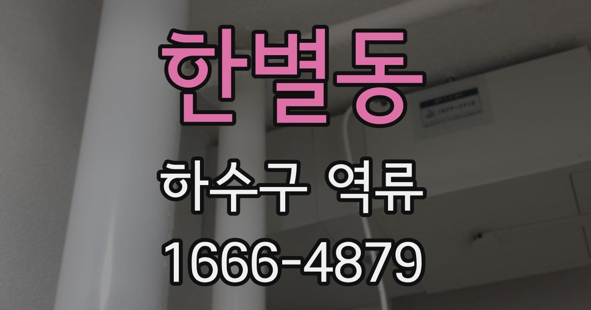 한별동 하수구 역류
