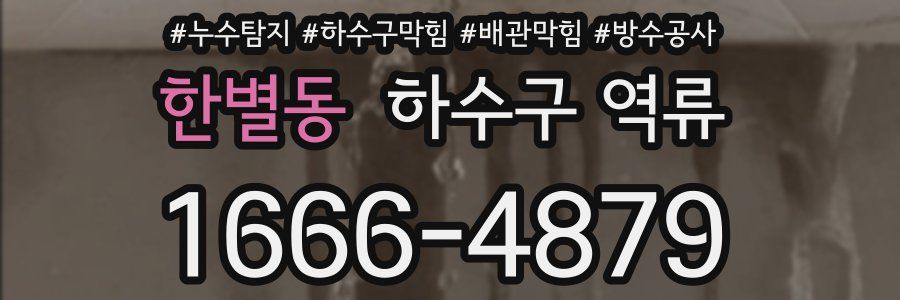 한별동 하수구 역류