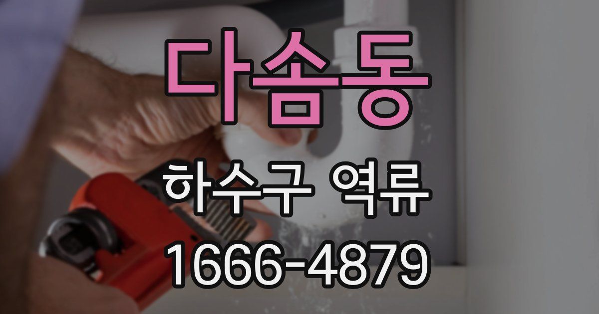 다솜동 하수구 역류