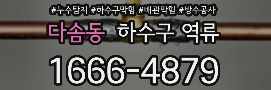 다솜동 하수구 역류