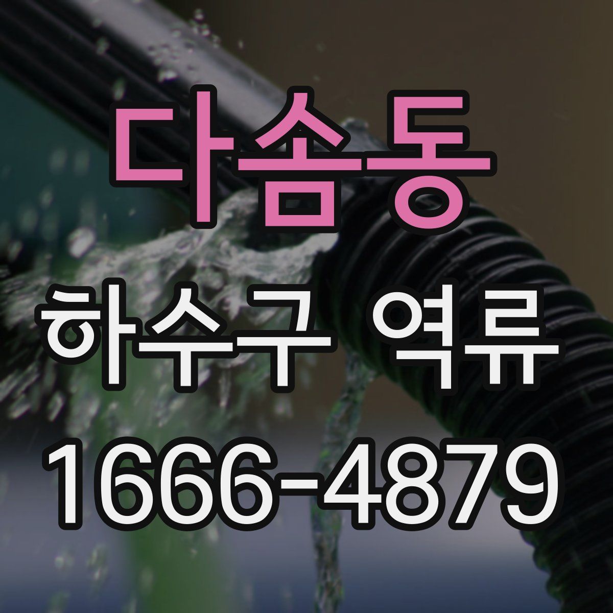 다솜동 하수구 역류