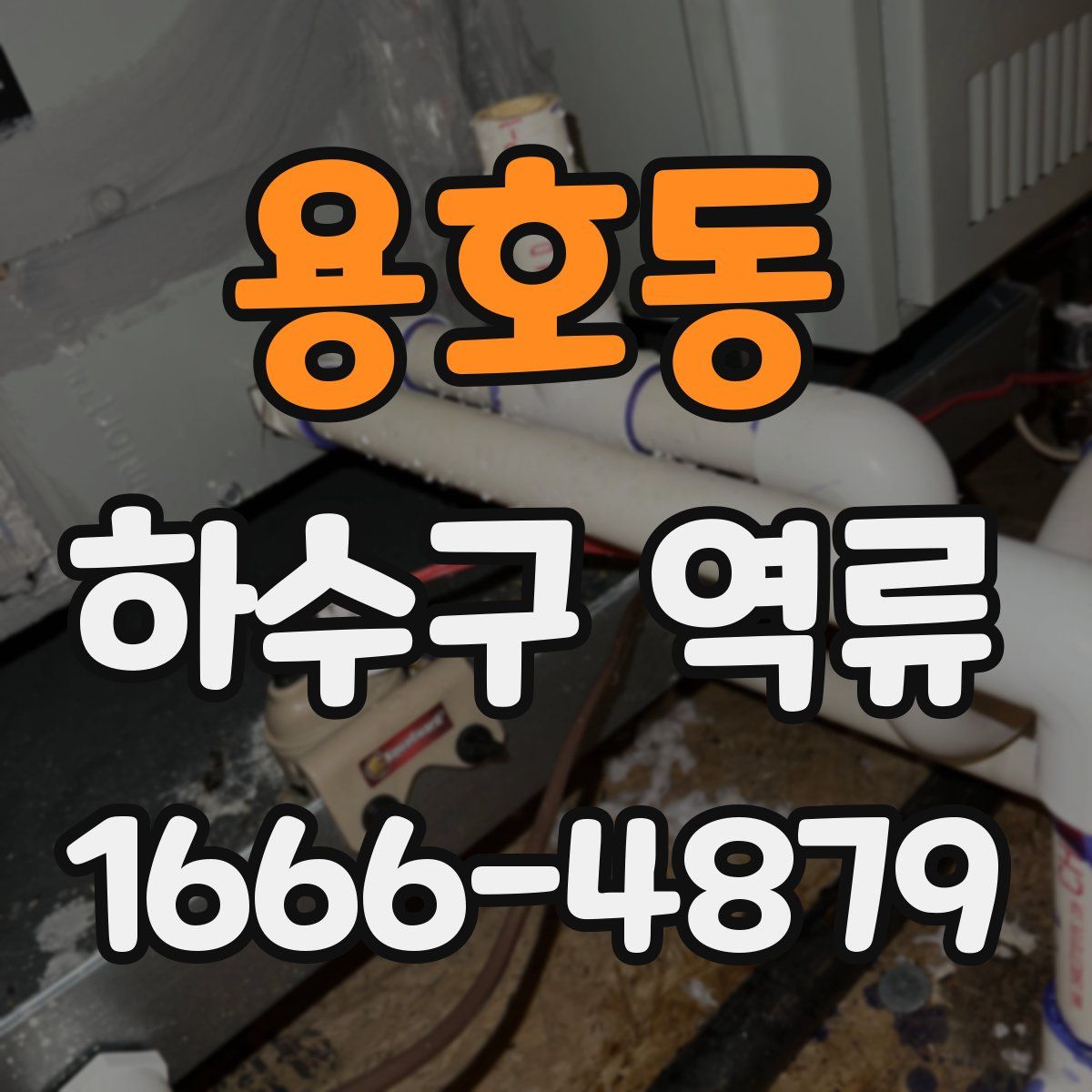 용호동 하수구 역류