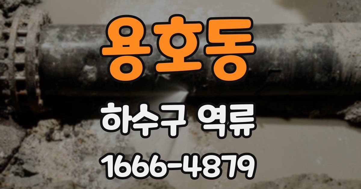용호동 하수구 역류