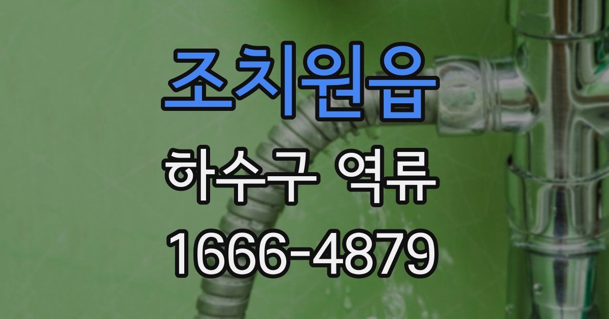 조치원읍 하수구 역류
