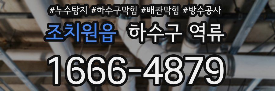 조치원읍 하수구 역류