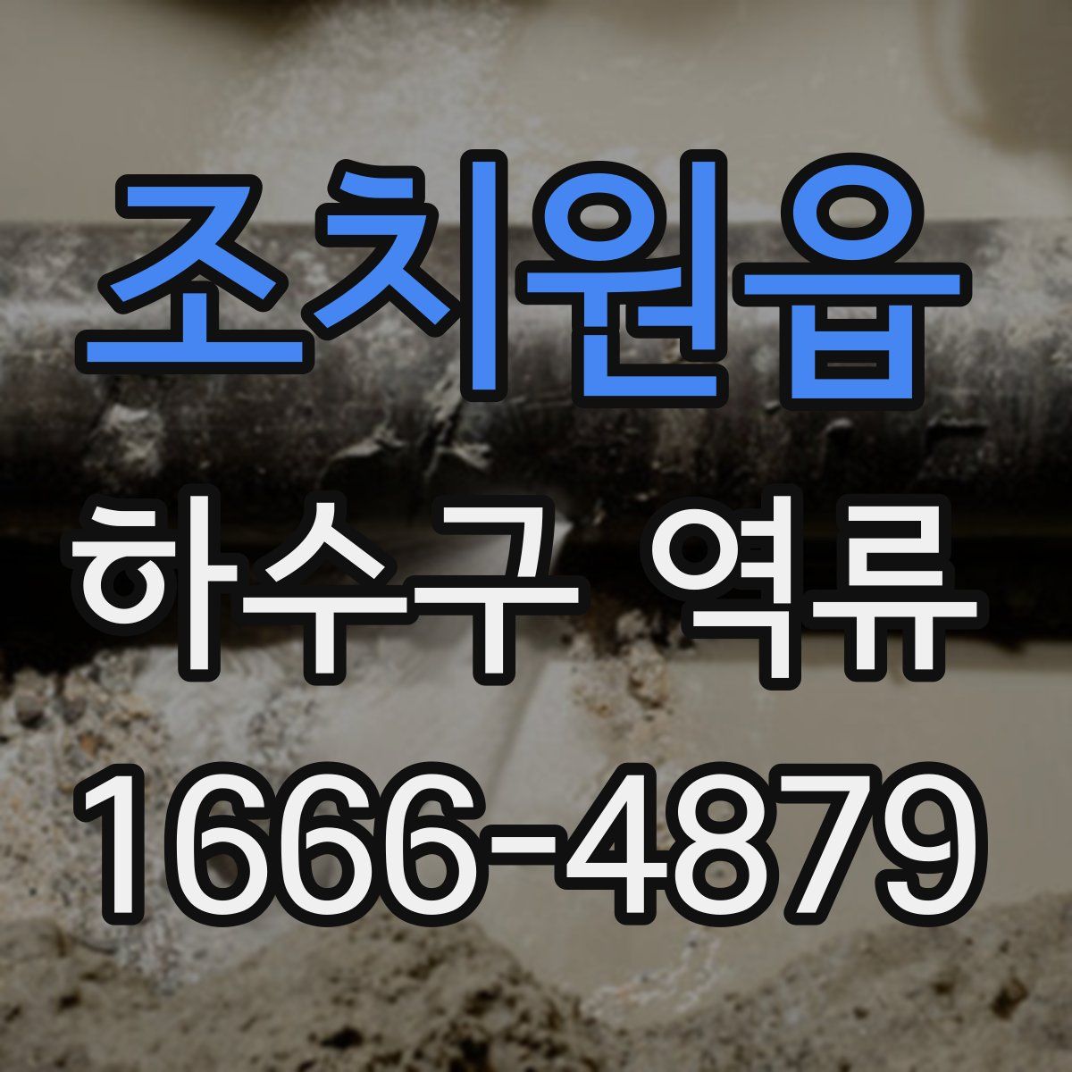조치원읍 하수구 역류