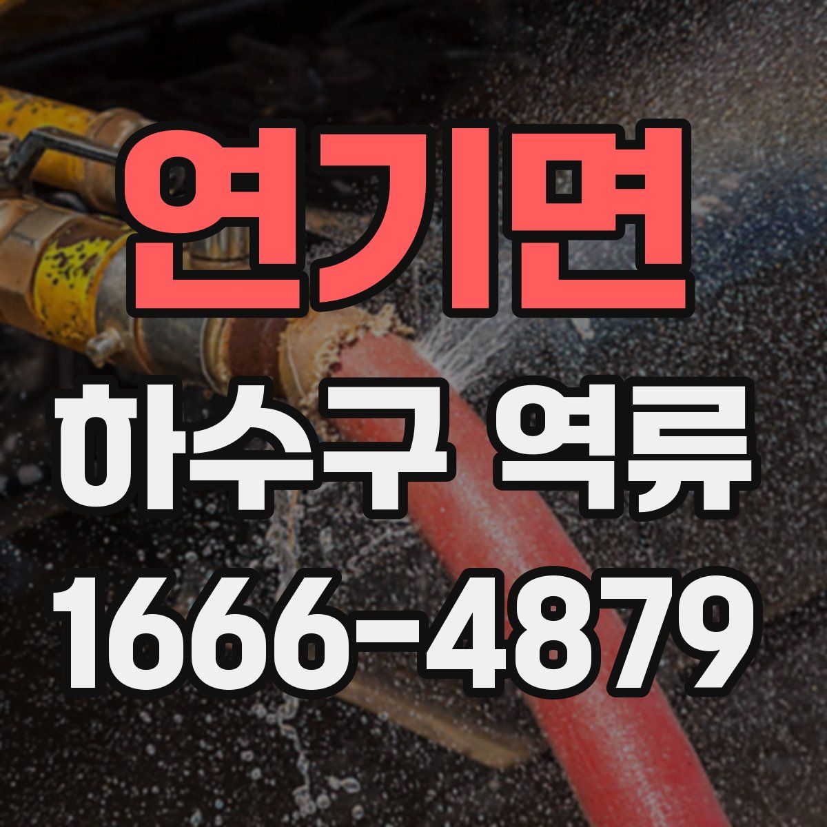 연기면 하수구 역류