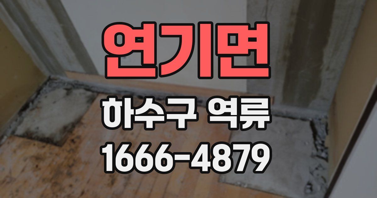 연기면 하수구 역류