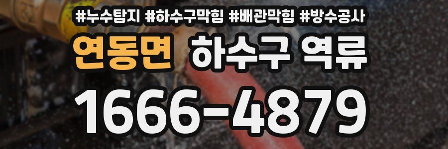 연동면 하수구 역류