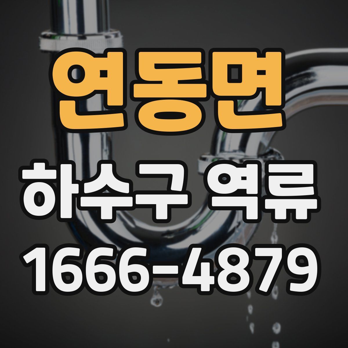 연동면 하수구 역류