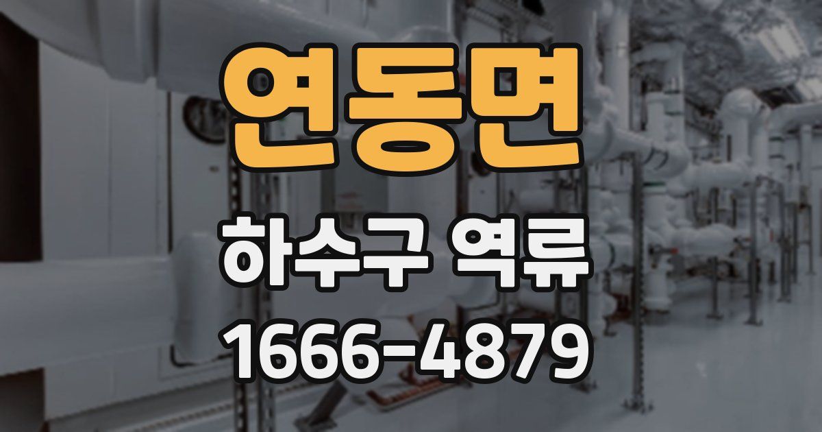연동면 하수구 역류