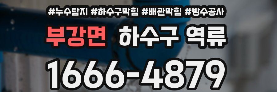 부강면 하수구 역류