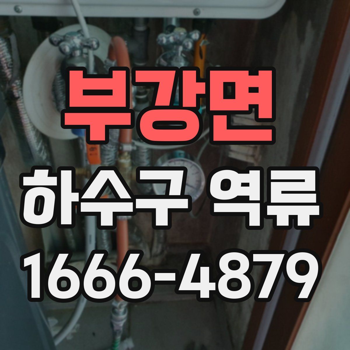 부강면 하수구 역류
