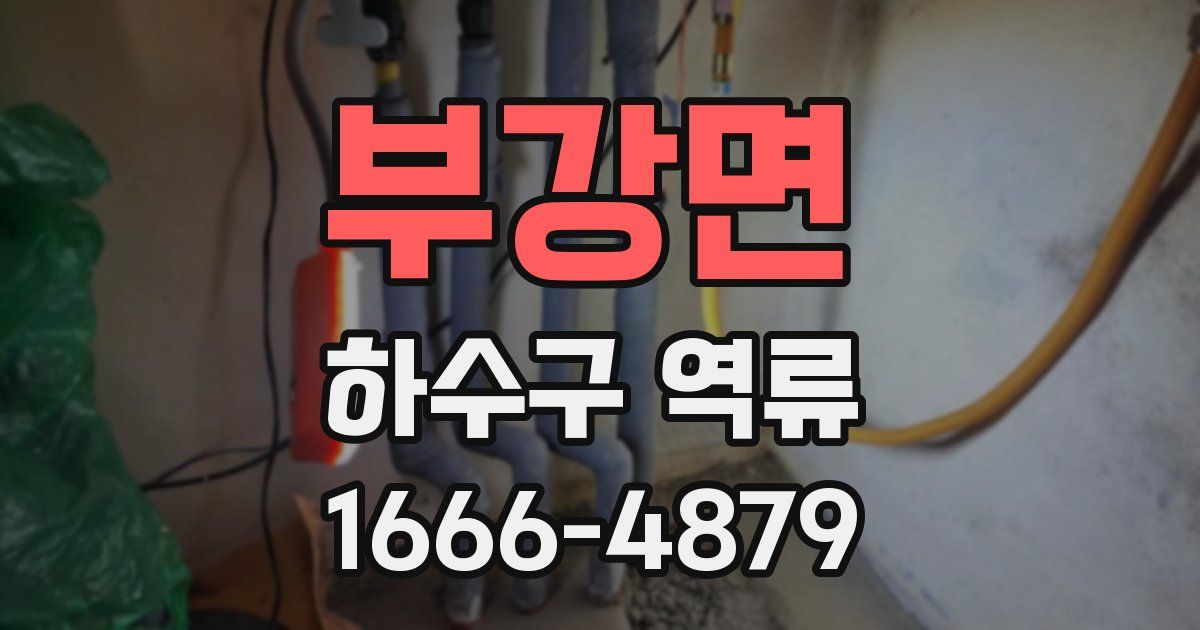 부강면 하수구 역류