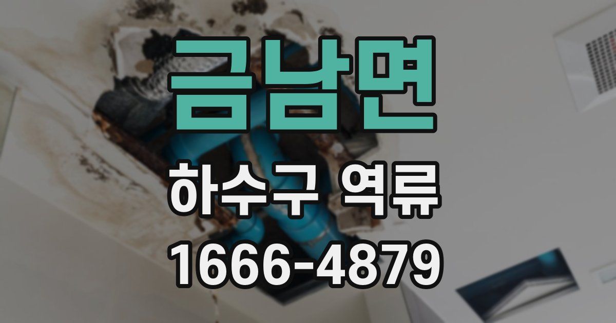 금남면 하수구 역류