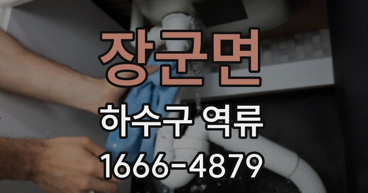 장군면 하수구 역류