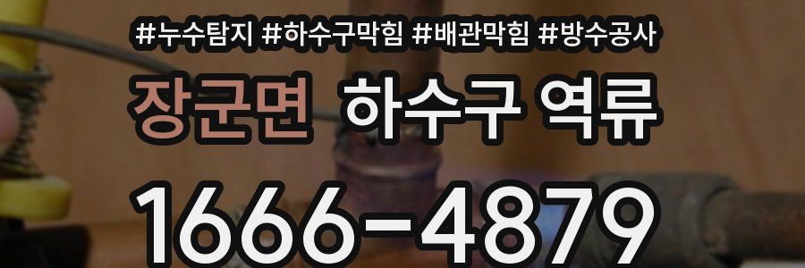 장군면 하수구 역류