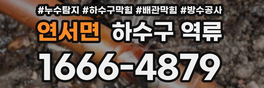 연서면 하수구 역류
