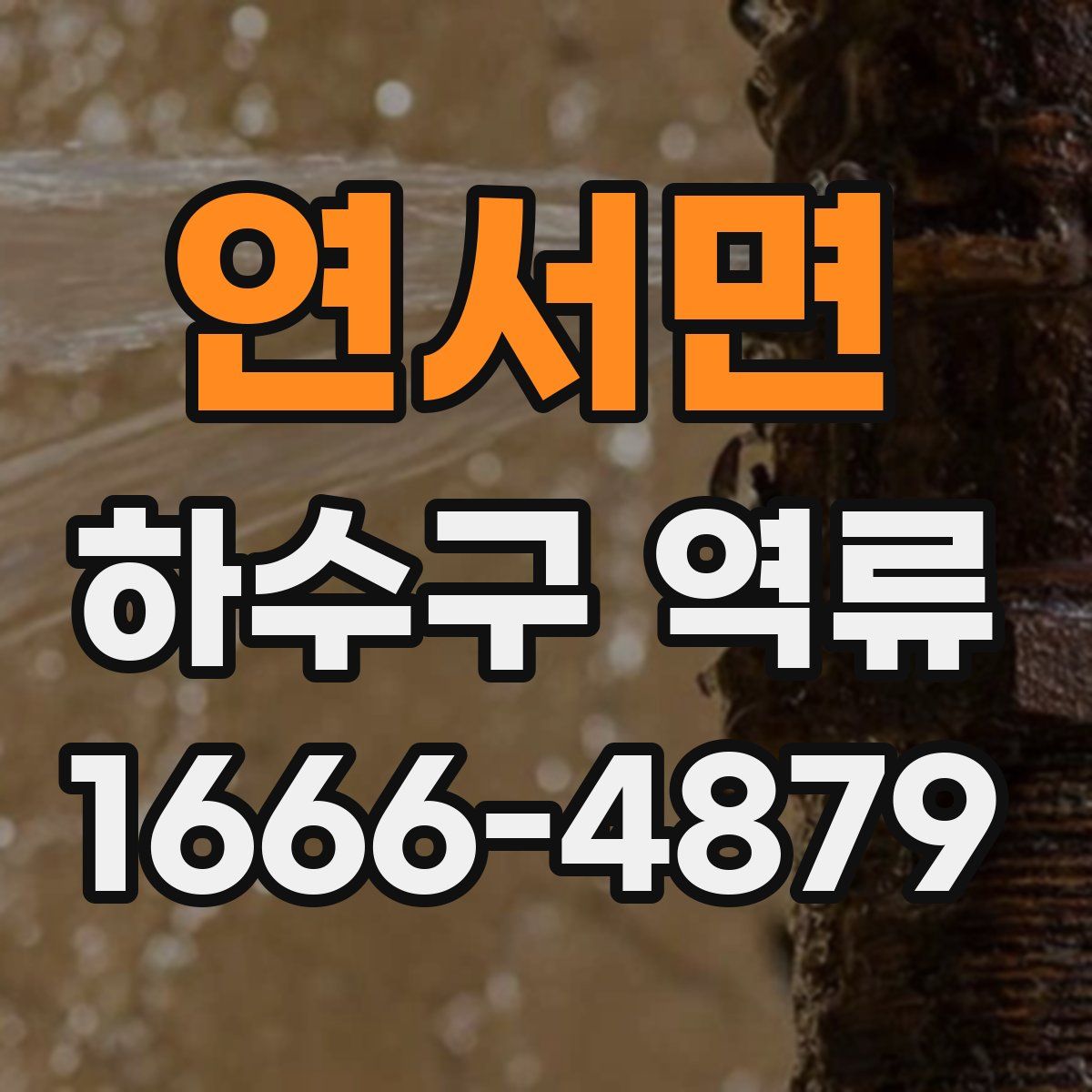 연서면 하수구 역류