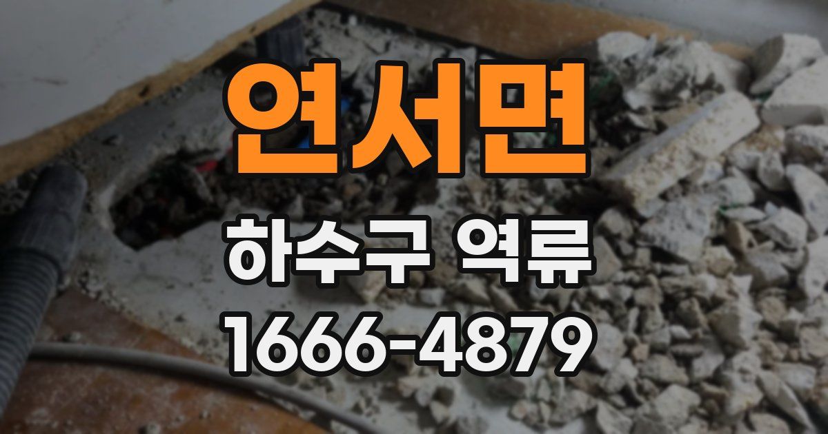 연서면 하수구 역류