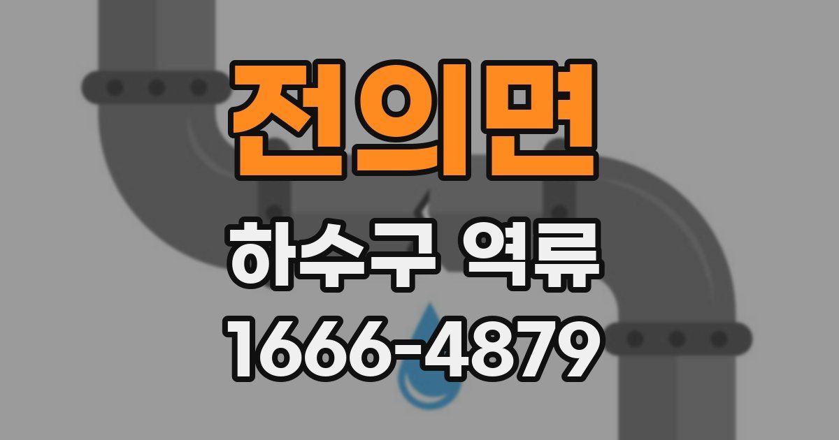 전의면 하수구 역류