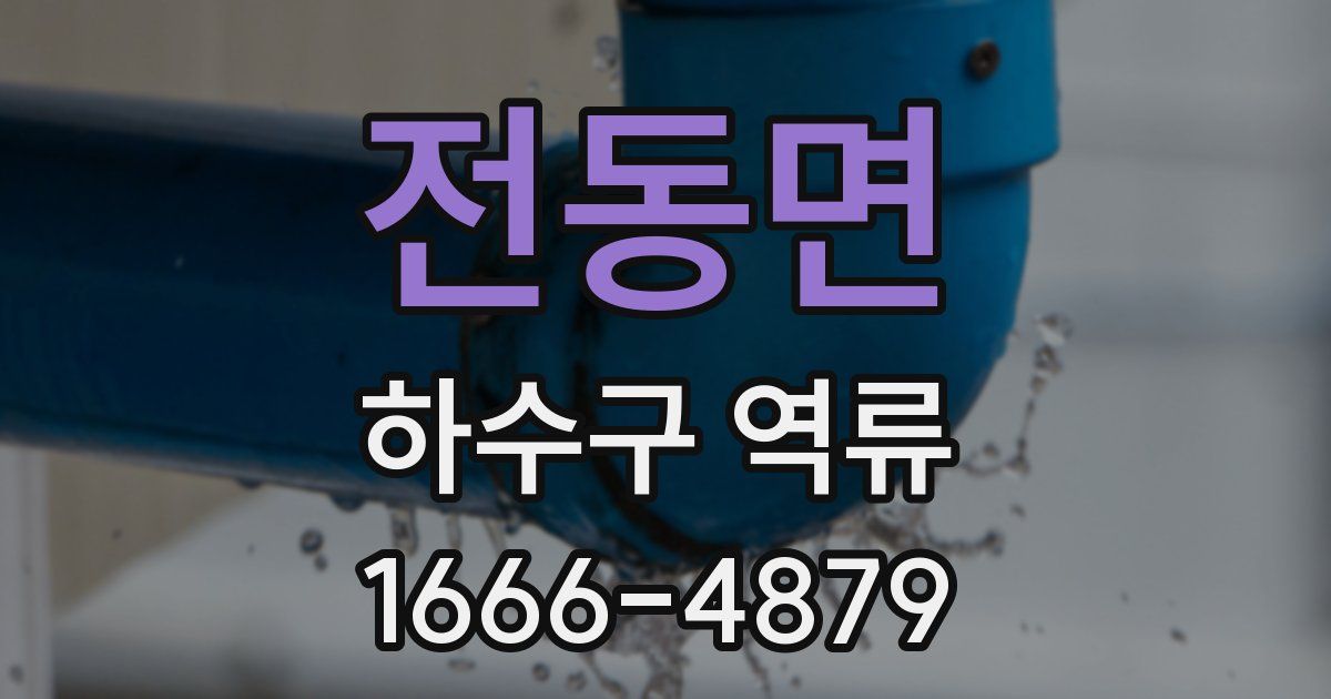 전동면 하수구 역류