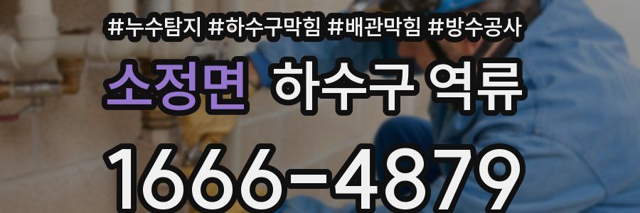 소정면 하수구 역류