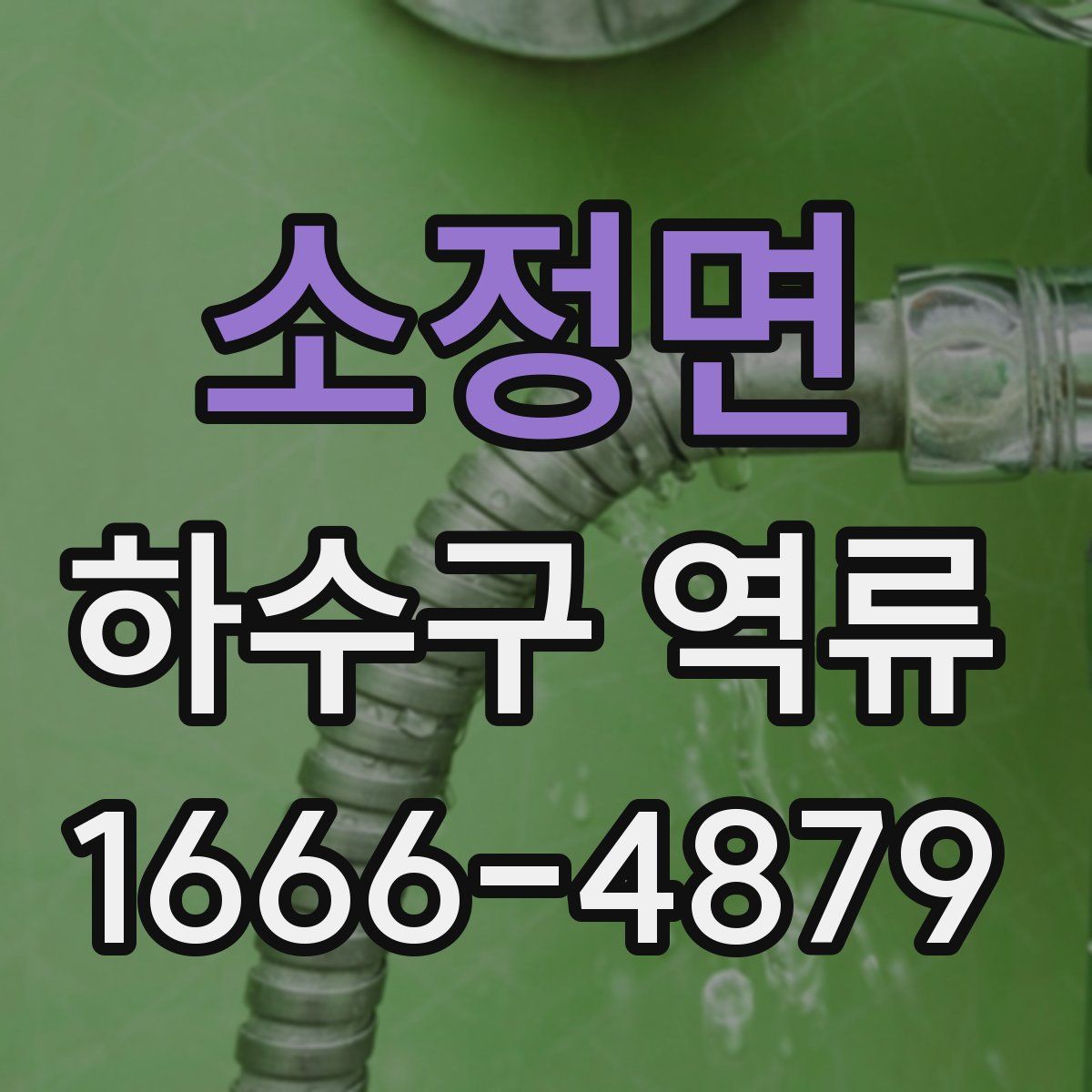 소정면 하수구 역류