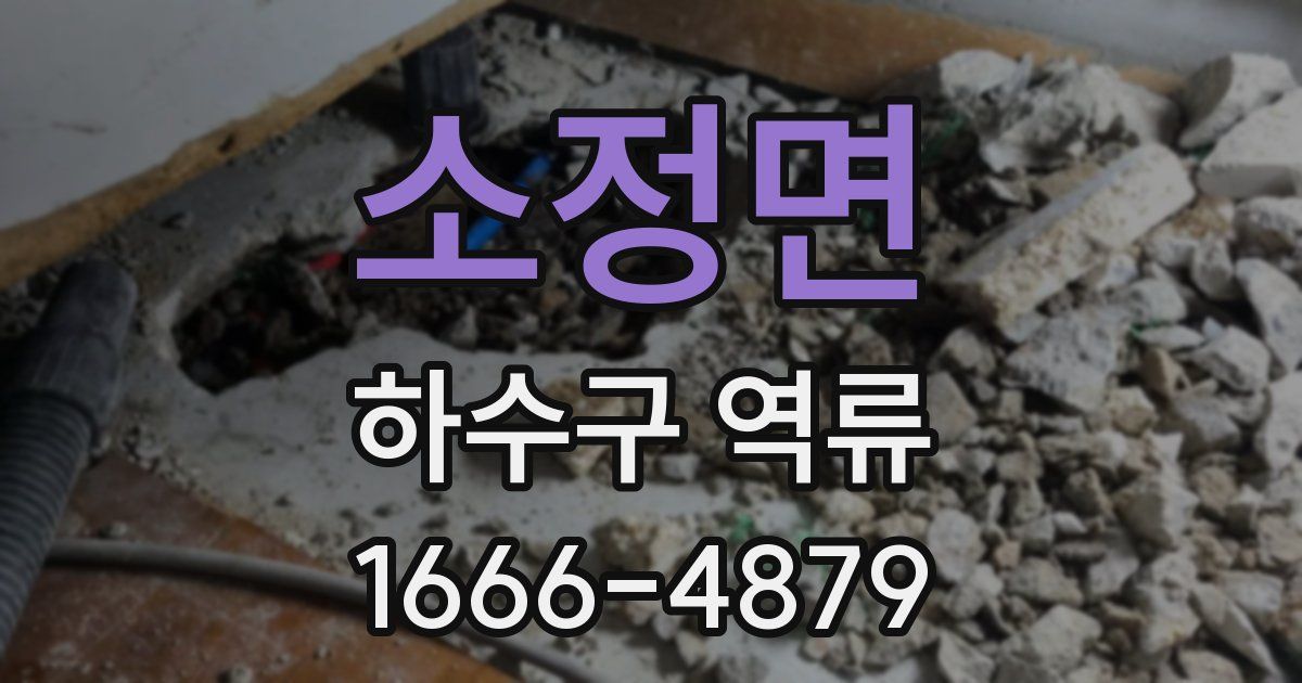 소정면 하수구 역류