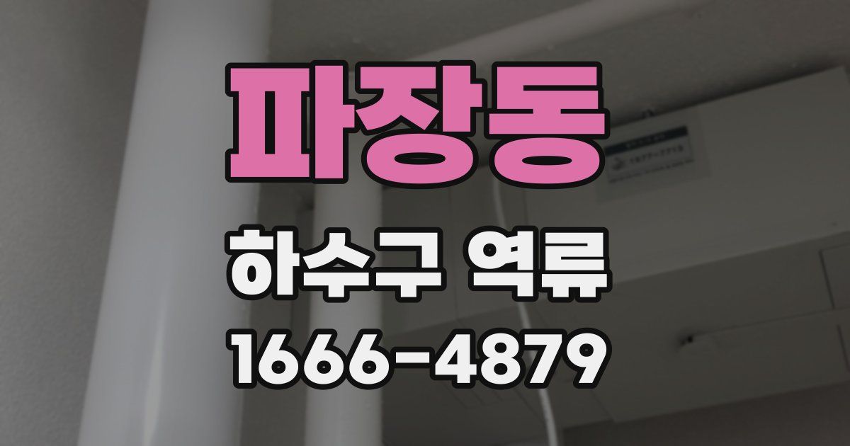 파장동 하수구 역류
