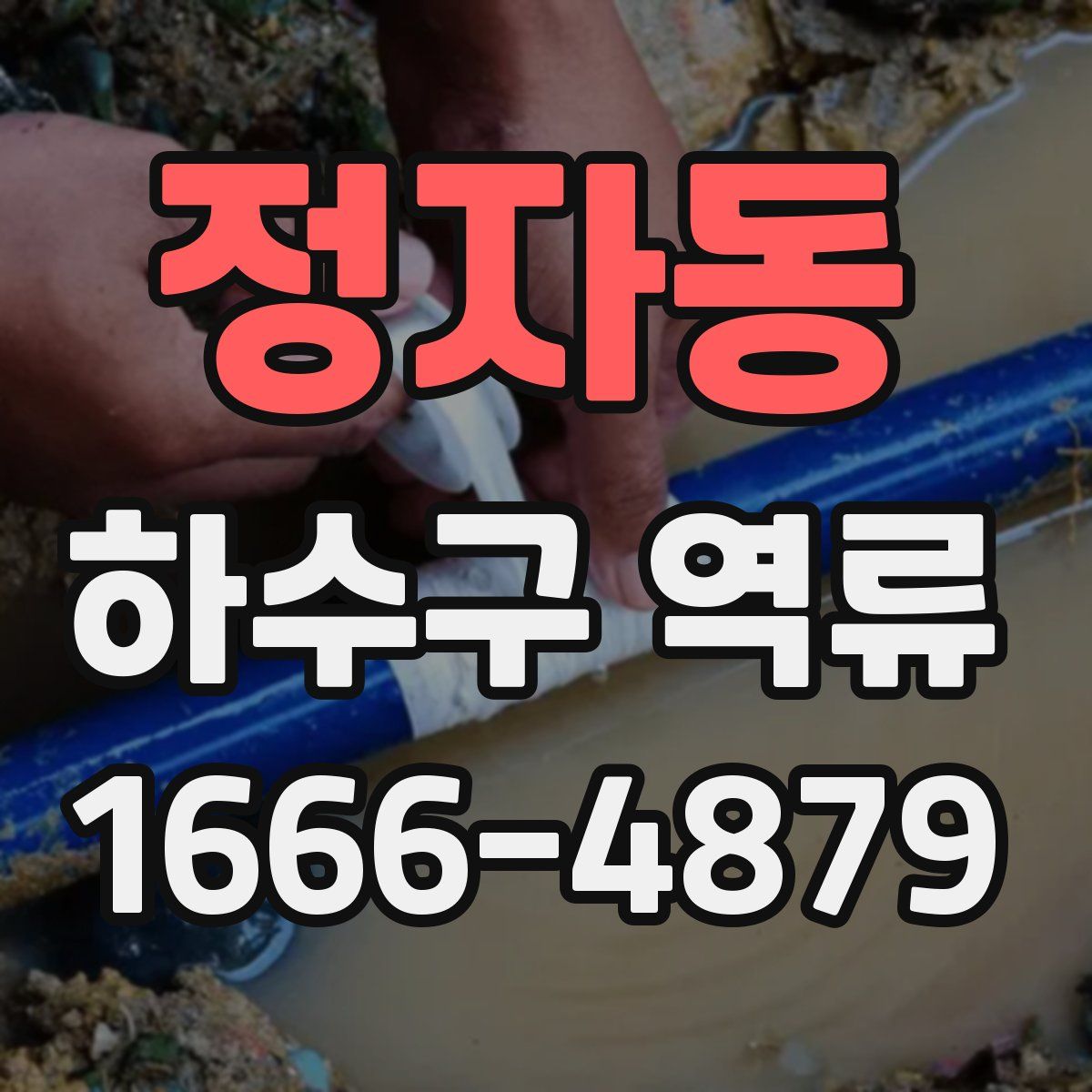 정자동 하수구 역류