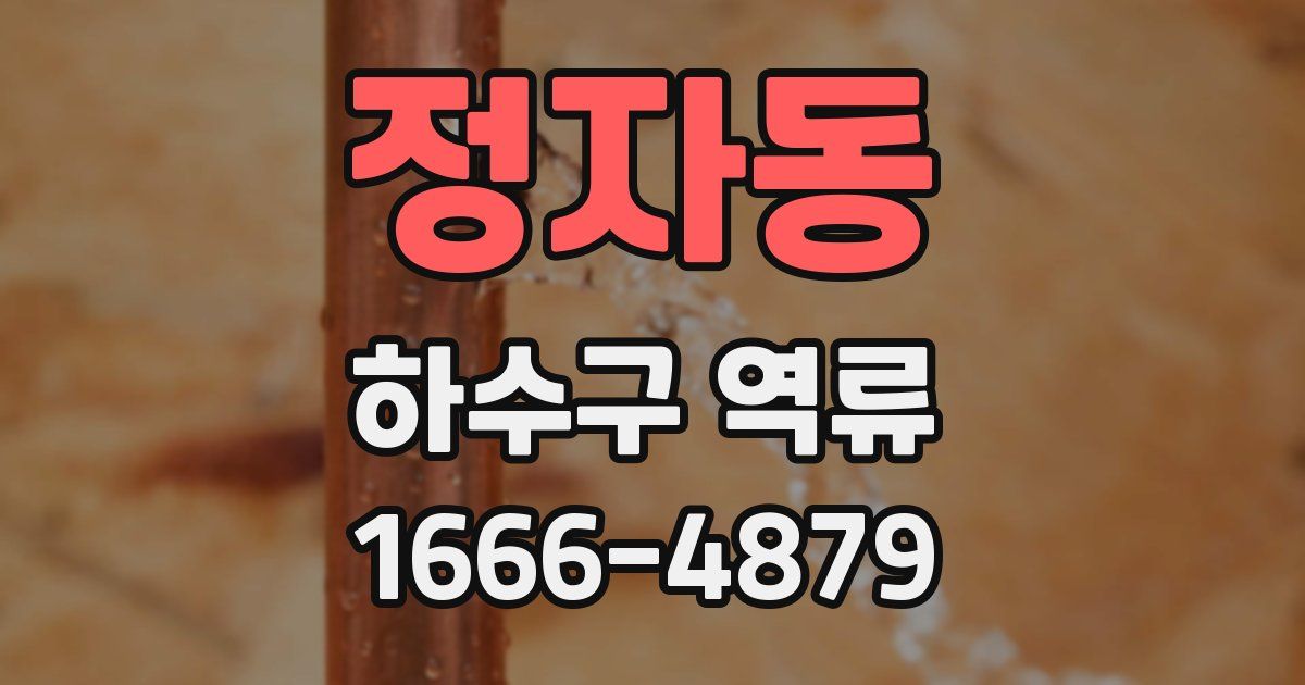 정자동 하수구 역류