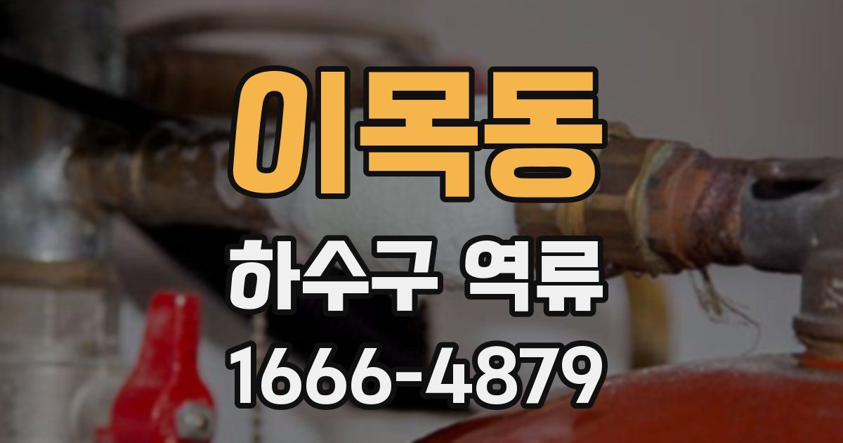 이목동 하수구 역류