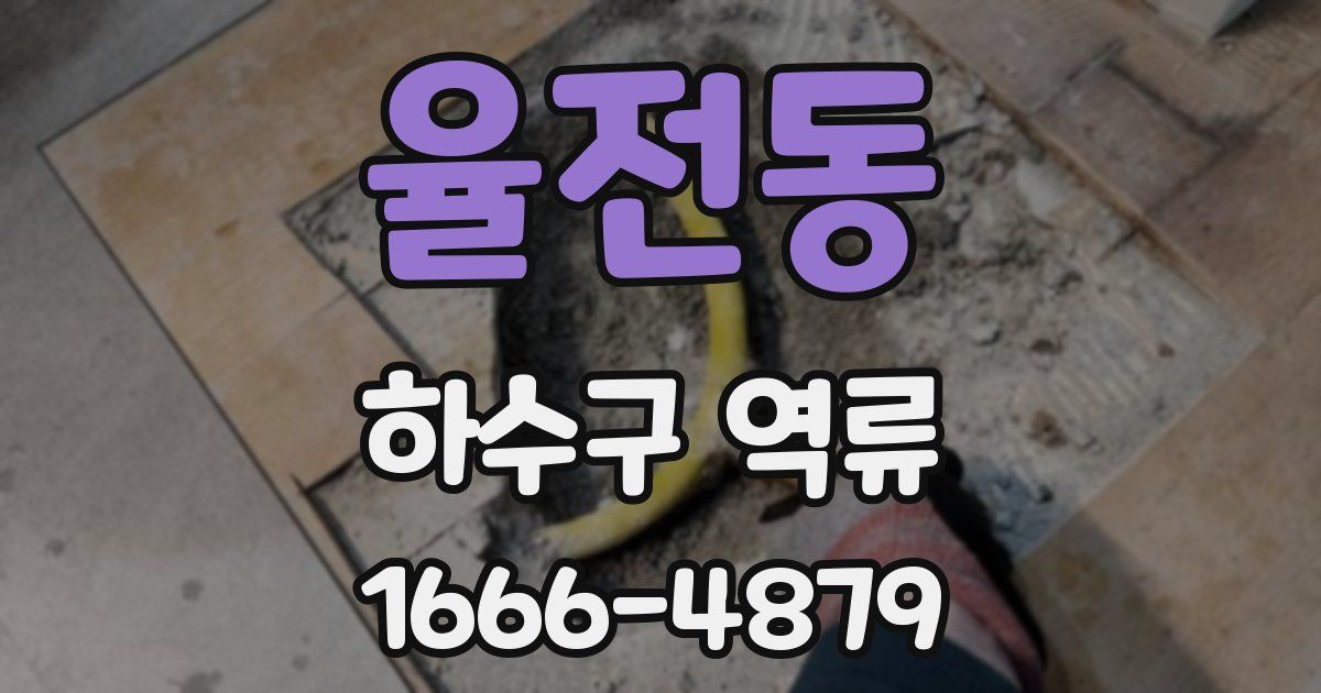 율전동 하수구 역류