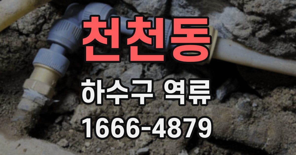 천천동 하수구 역류