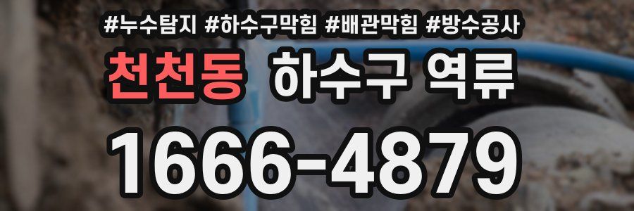 천천동 하수구 역류