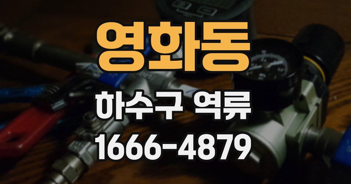 영화동 하수구 역류
