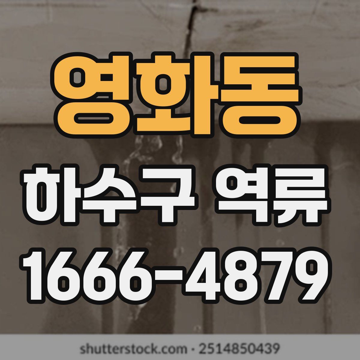 영화동 하수구 역류