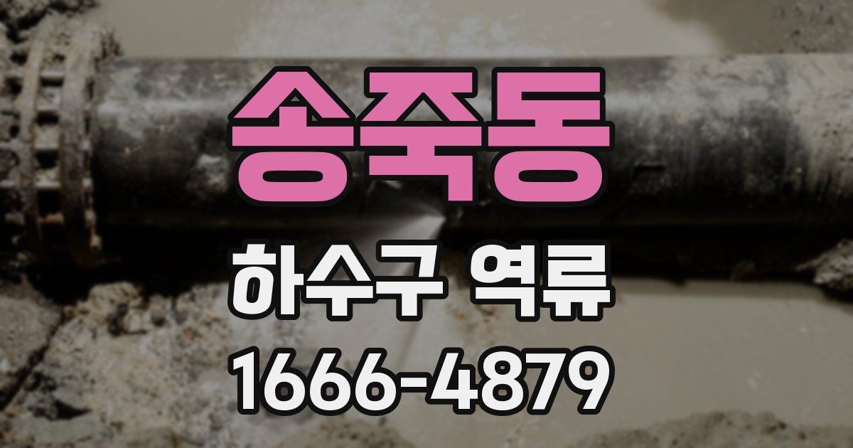 송죽동 하수구 역류
