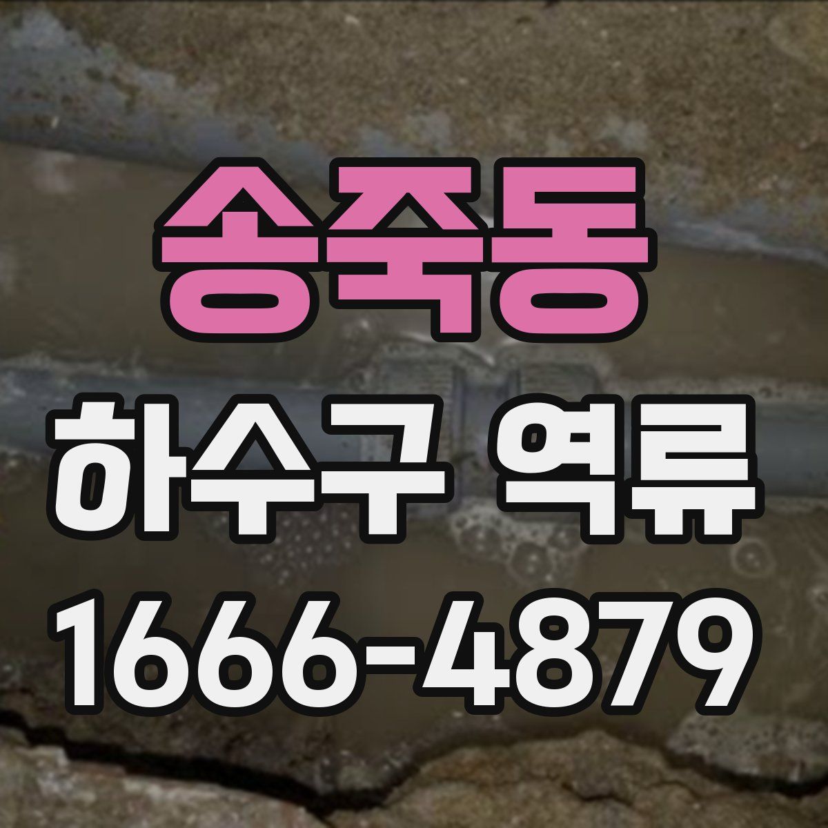 송죽동 하수구 역류