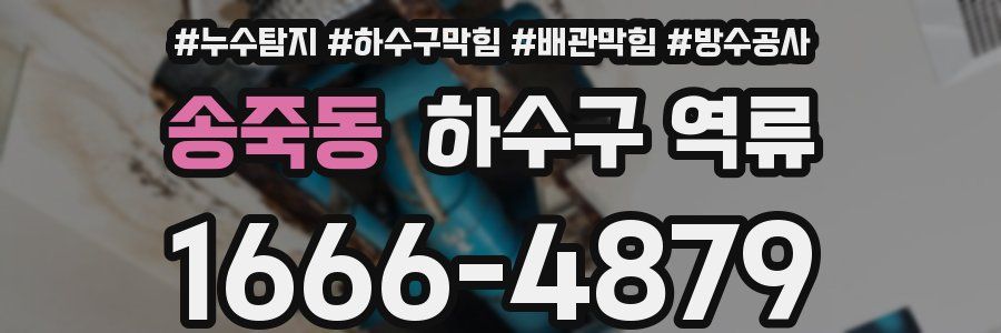 송죽동 하수구 역류